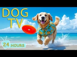 DOG TV: Best Video to Entertain Dogs Left Home Alone - Prevent Boredom Relaxing Music for Dogs