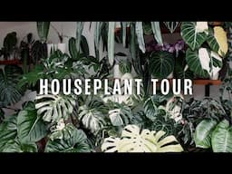 HOUSEPLANT TOUR! | Spring/Summer 2025!