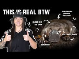 Animals that are DEFINITELY real