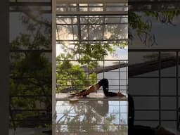 Vinyasa yoga #yoga #estilodevidasaludable