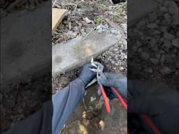 Sprinkler Pipe Repair. #diy #homerepair #plumbing #diytools
