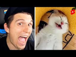 Paluten guckt Shorts bis er sich eine Katze kauft