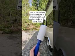 My secret weapon against ticks ⚔️🛡️ #tickprevention #rvcamping #newengland