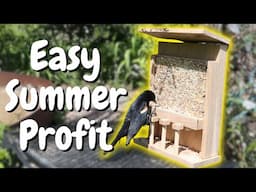A Profitable Build Thats Actually FUN // Easy Summer Project