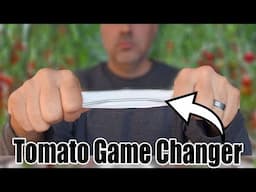 The ONE Tomato Growing Hack That Actually Works!