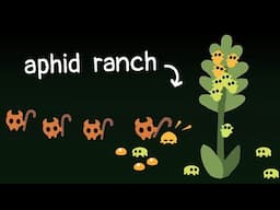 I added Aphid Farming to my Ant Colony Simulation