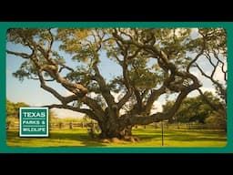 TPW Trailer - Episode 7, Season 40