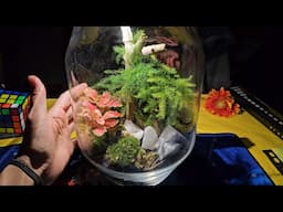 How to make a terrarium | KKS