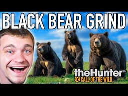 Hunting Down a Diamond Black Bear!