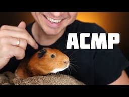 ASMR, КОТОРОЕ ПЕРЕЗАГРУЗИТ МОЗГ 🔄 Самое милое, что вы слышали