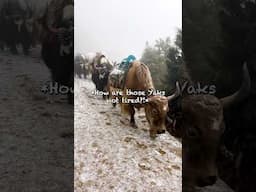 POV: You’re Hiking to Everest Base Camp