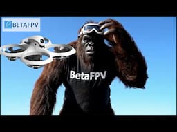 BetaFPV Cetus X | Beginner Drone