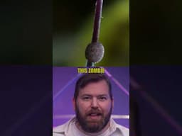 Cordyceps #shorts #lastofus #lastofuspart2 #science #cordyceps