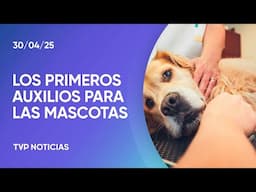 Técnicas para atender a mascotas en emergencia