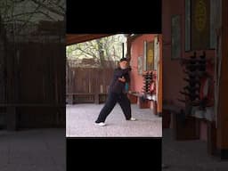 Subduing the Tiger in Tai Chi