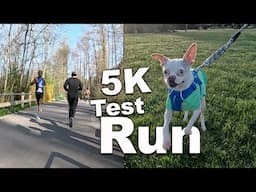 Training for a Triathlon With My Rescue Dog: Our First 5K Run Race Together