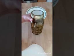 Crunchy 4 Year Old Home Canned Pickles: NO Pickle Crisp, NO Ms. Wages