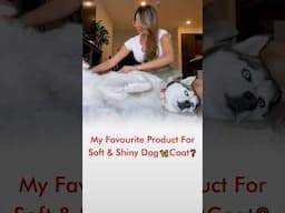 My Favourite Product For Soft & Shiny Coat Dog 🦮 Coat❓
