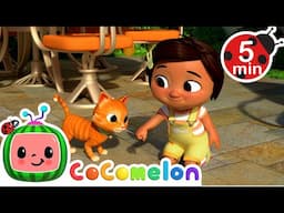 We love our Furry Friends | Cocomelon and Little Angel Nursery Rhymes