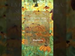 LA PAZ NO SE BUSCA SE CULTIVA DESDE ADENTRO. #ingristorres #dios #amor #motivacion #frases