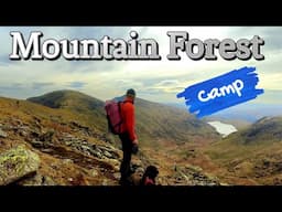 Lake District Mountain Forest camp + SUNBLESA Headtorch GIVEAWAY