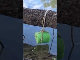 Million views guaranteed #fishing #shorts #youtubeshorts