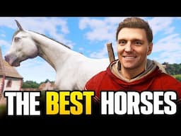The Best Horses in Kingdom Come Deliverance 2