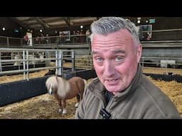 Springtime on the Farm | Daffodil the Donkey gives birth | Channel 5