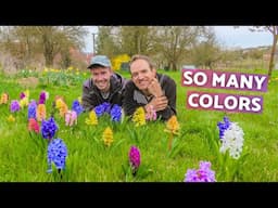 Time to get things done (spring garden jobs have begun) | Life on a small farm in Central Europe