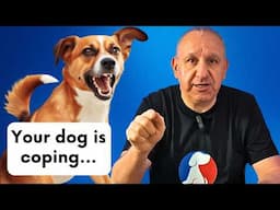 Got a Reactive Dog? Do This FIRST to Save Your Walks!