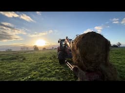 Less Feed, Less Milk, Less Cows, Dry Off Ready