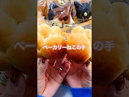 可愛い動物パンがいっぱい！#shorts #パン #breadrecipe #asmr #baking #cooking