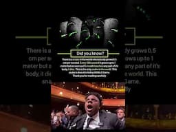 Did You Know? #AndroidGames #NokiaGame #shorts #CapitalGamer7