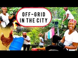 Off-Grid Living In The City: Thriving Food Forest!