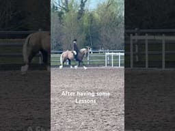 Do you think we have made any improvements since having some riding lessons? #horse #equestrian