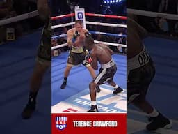 Terence Crawford DECIMATES  Egidijus Kavaliauskas