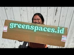 Unboxing and Acclimating Imported Plants From Indonesia