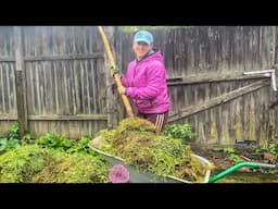 One Small Secret to Large Harvest | What I Do When Everything is Planted