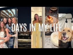 VLOG: boston moments, spring clothing haul, dentist appt, etc.