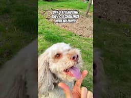Day 3 Attempting the L O V Challenge With my Puppy
