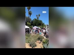 'No Kings' Protest Takes Place in Bakersfield