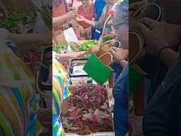 We gave away hundreds of seeds and plants #shorts #food #viralvideo #youtube #youtubevideo