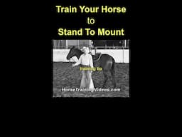 How To Train Your Horse To Stand Still For Mounting - Horse Training - Horsemanship