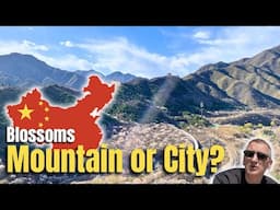 Beijing mountains or Beijing city