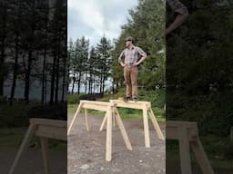 Sitka Spruce #ireland #timber #wood #sitkaspruce #wildlife #biodiveristy #natire #forrests