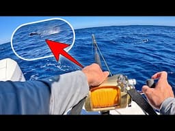 Do YOU Think We Caught This MARLIN? What Do You Reckon??