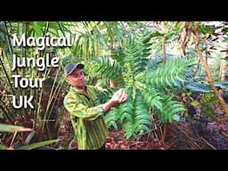 Magical Jungle Tour - Sharing Beautiful Hardy Evergreen Plant Varieties (UK)