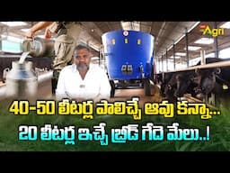 Rajiv Dairy Farm | 40-50 లీటర్ల పాలిచ్చే ఆవు కన్నా.. 20 లీటర్లు ఇచ్చే బ్రీడ్ గేదె మేలు.. Tone Agri