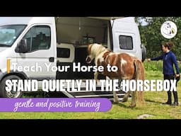 How to Teach Your Horse to Stand Quietly in the Horsebox