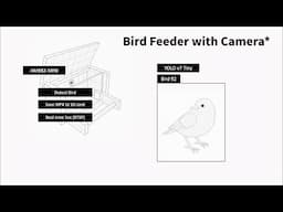 ”Hello, sparrow!“ Bird Feeder That Recognizes and Saves Bird Visits #Arduino #Yolo